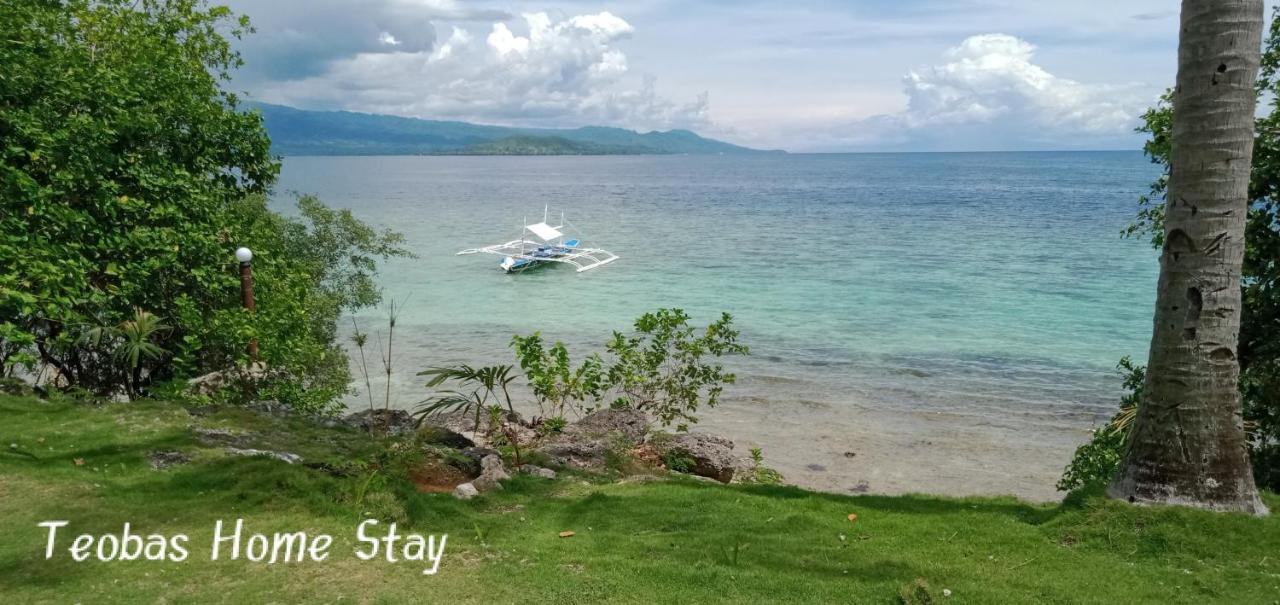 Allba'S Homestay Moalboal Ngoại thất bức ảnh