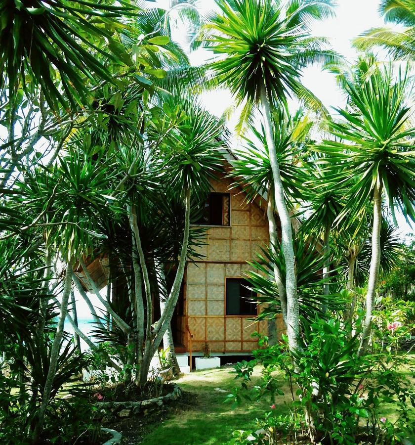 Allba'S Homestay Moalboal Ngoại thất bức ảnh